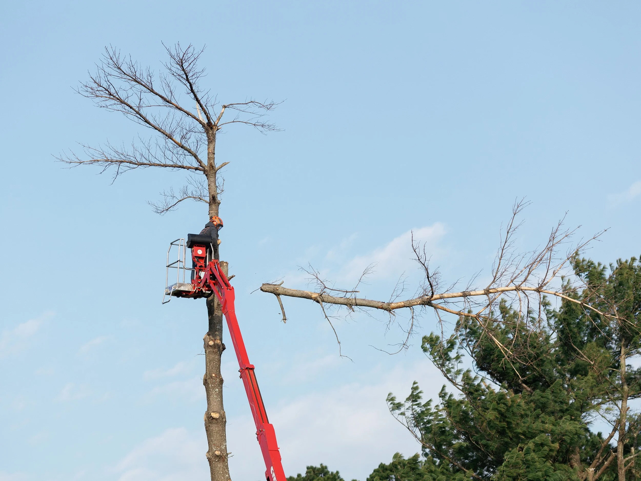kalebs-landscaping-march-2026-emily-christisen-051.jpg