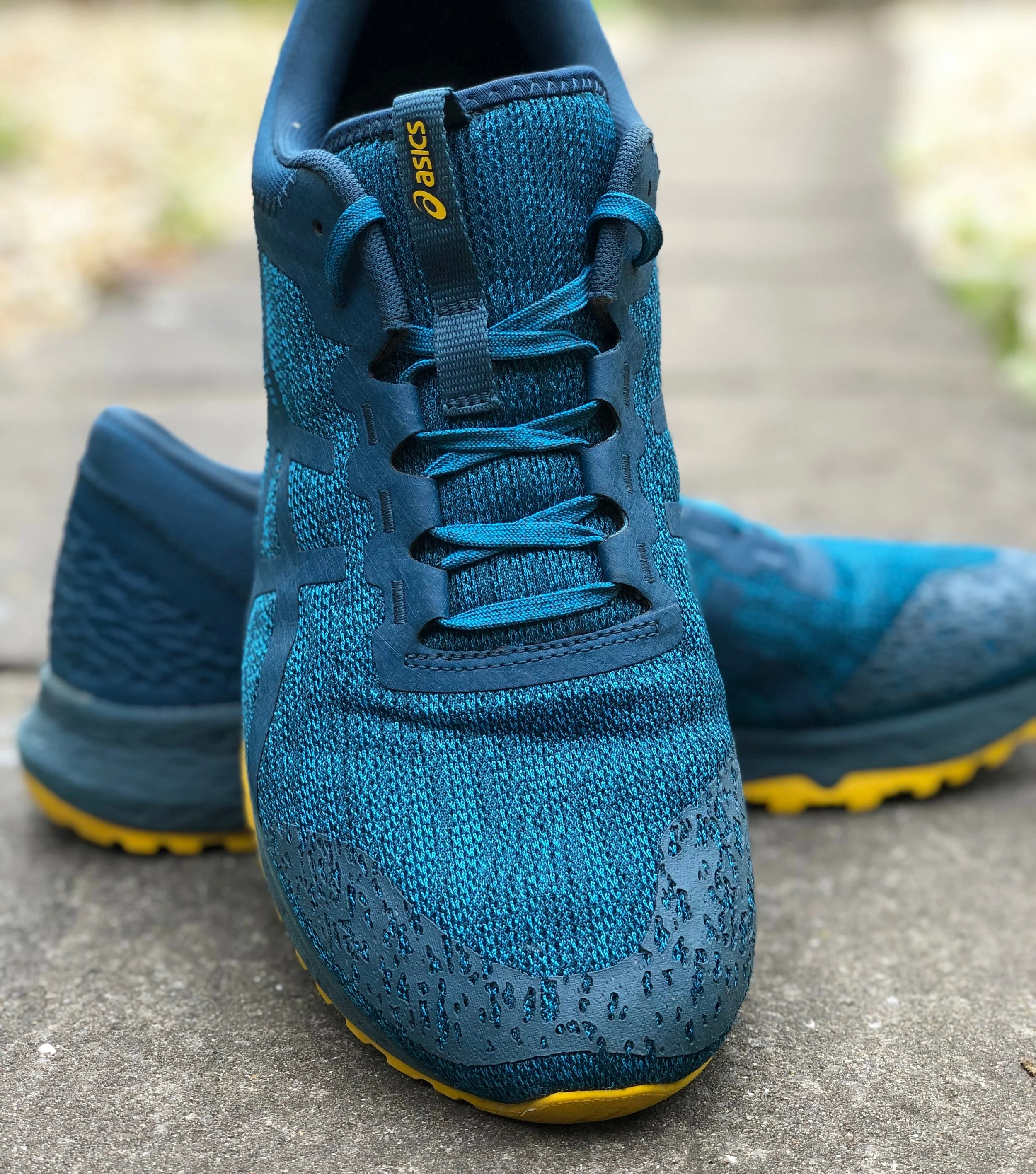 asics alpine xt