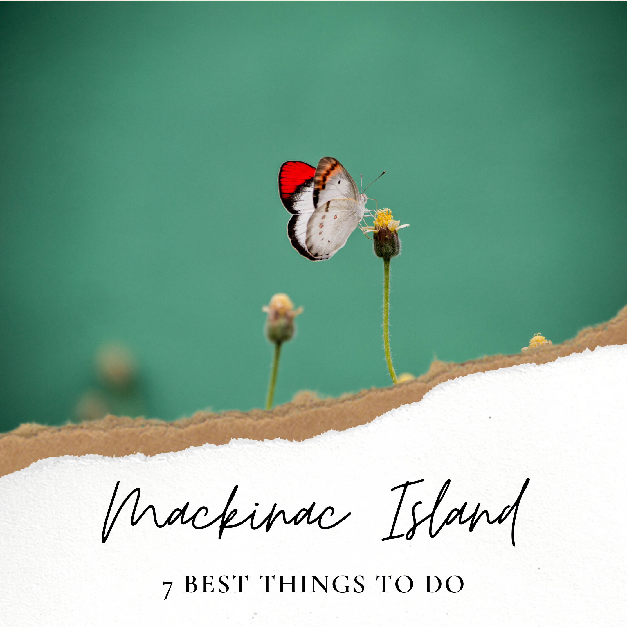 things to do on mackinac island.png