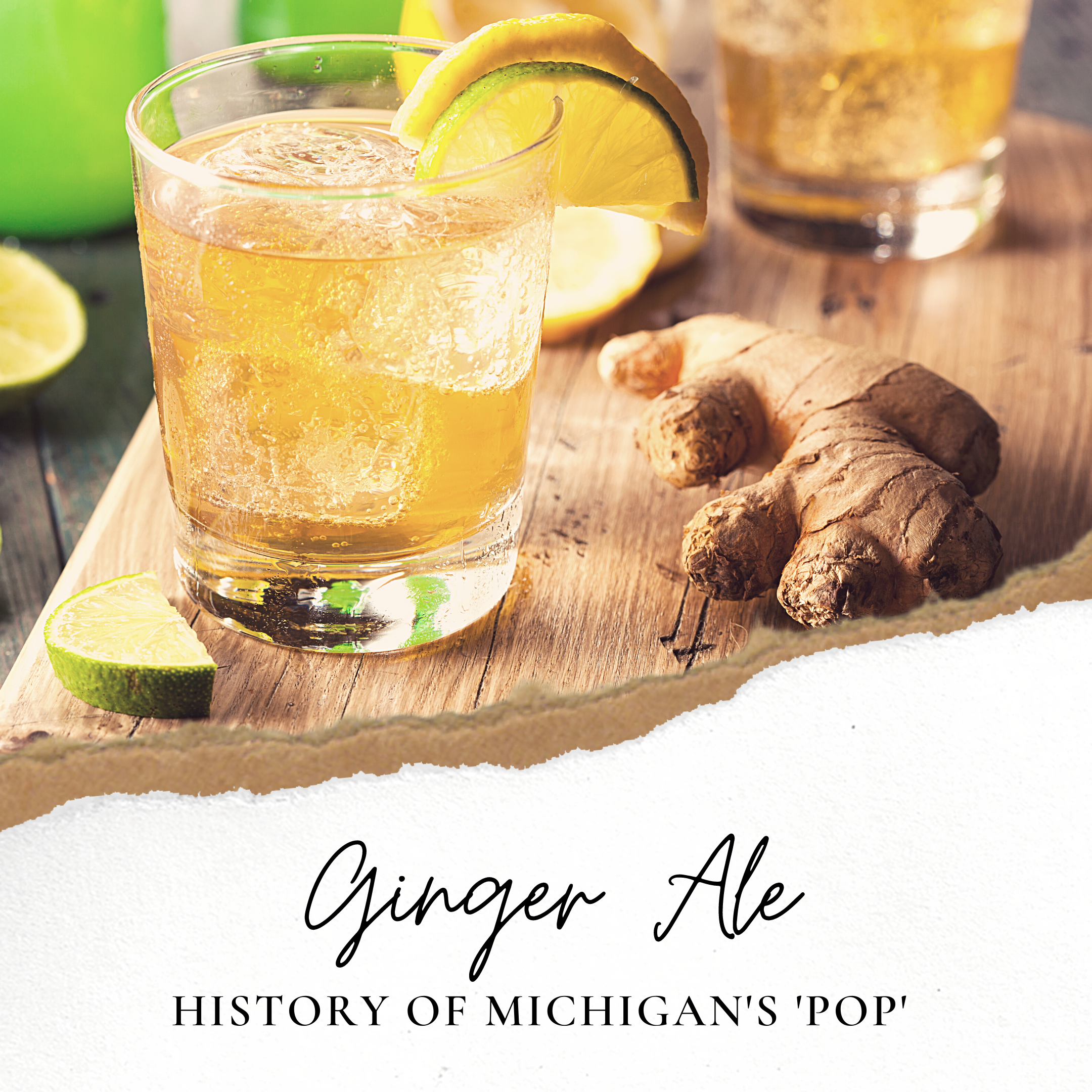 MICHIGAN LOVES GINGER ALE