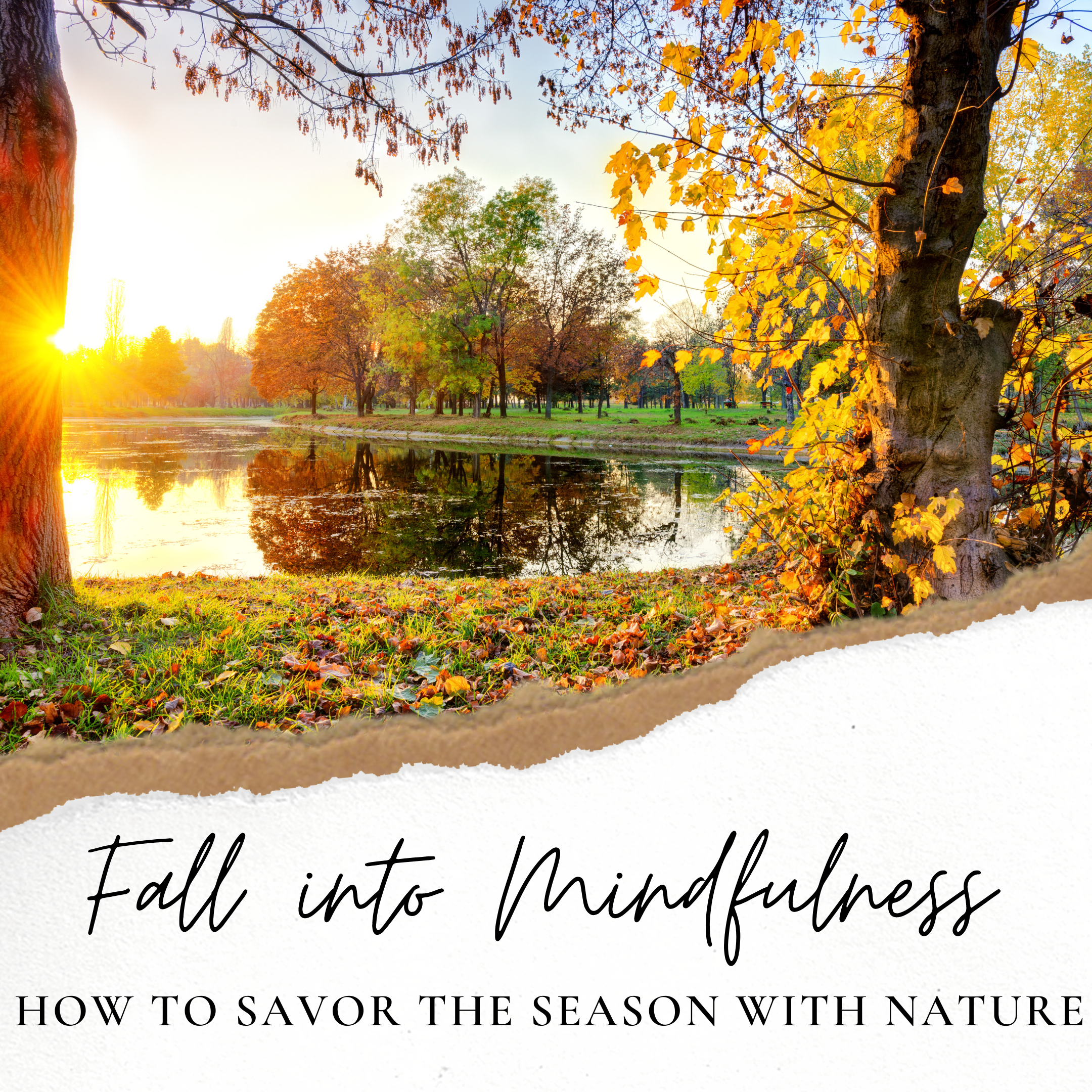 Fall into Mindfulness: How to Savor the Season with Nature