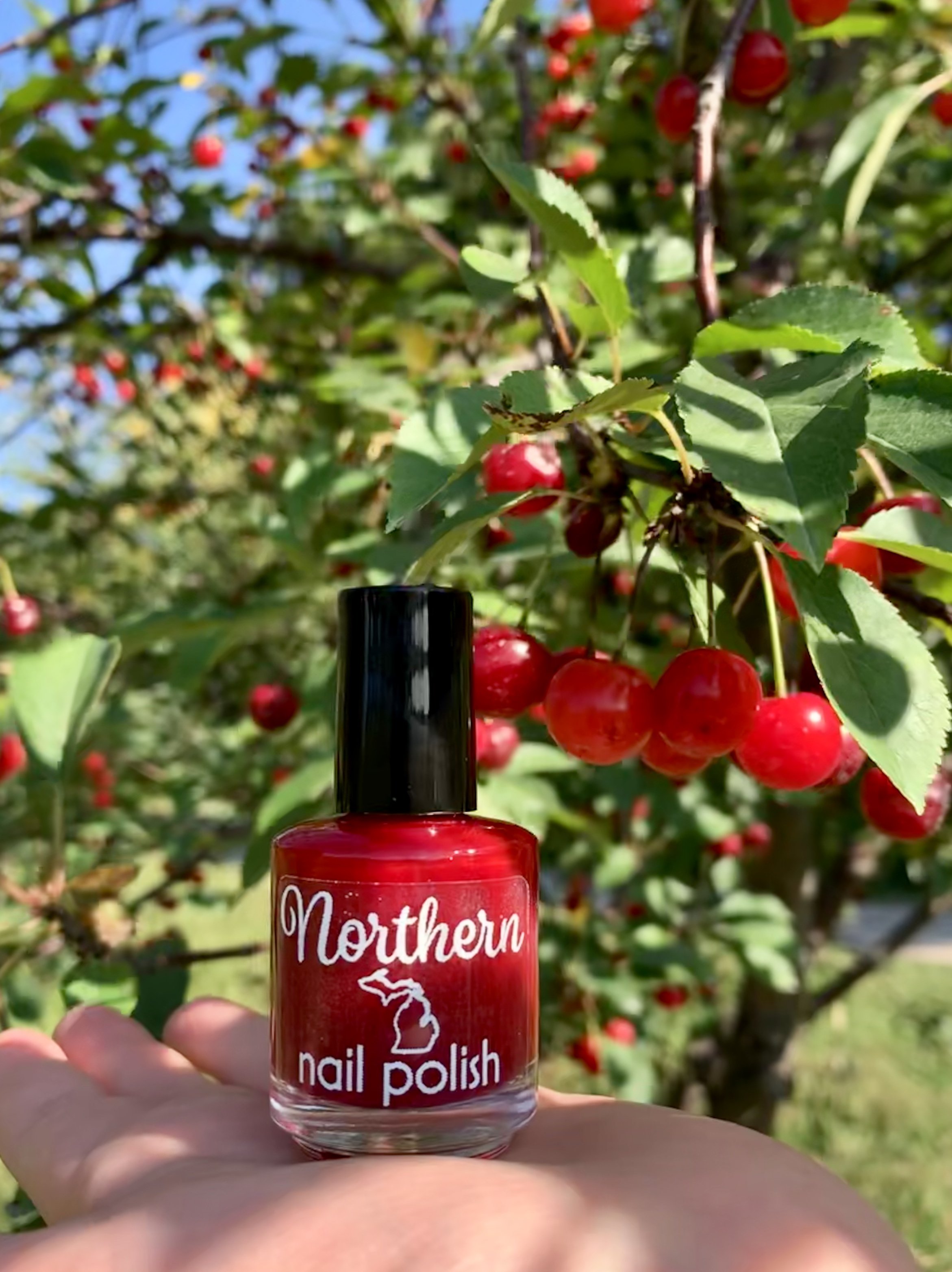 Cherry Festival 🍒 Northern Nail Polish
