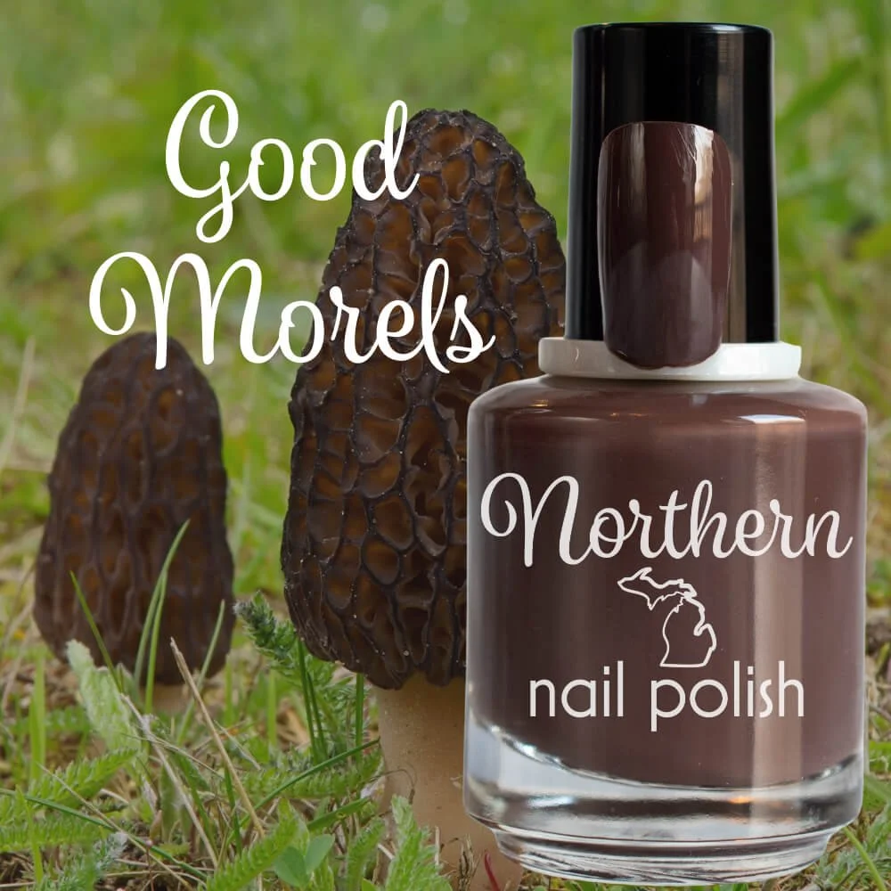 good+morels.png.jpg