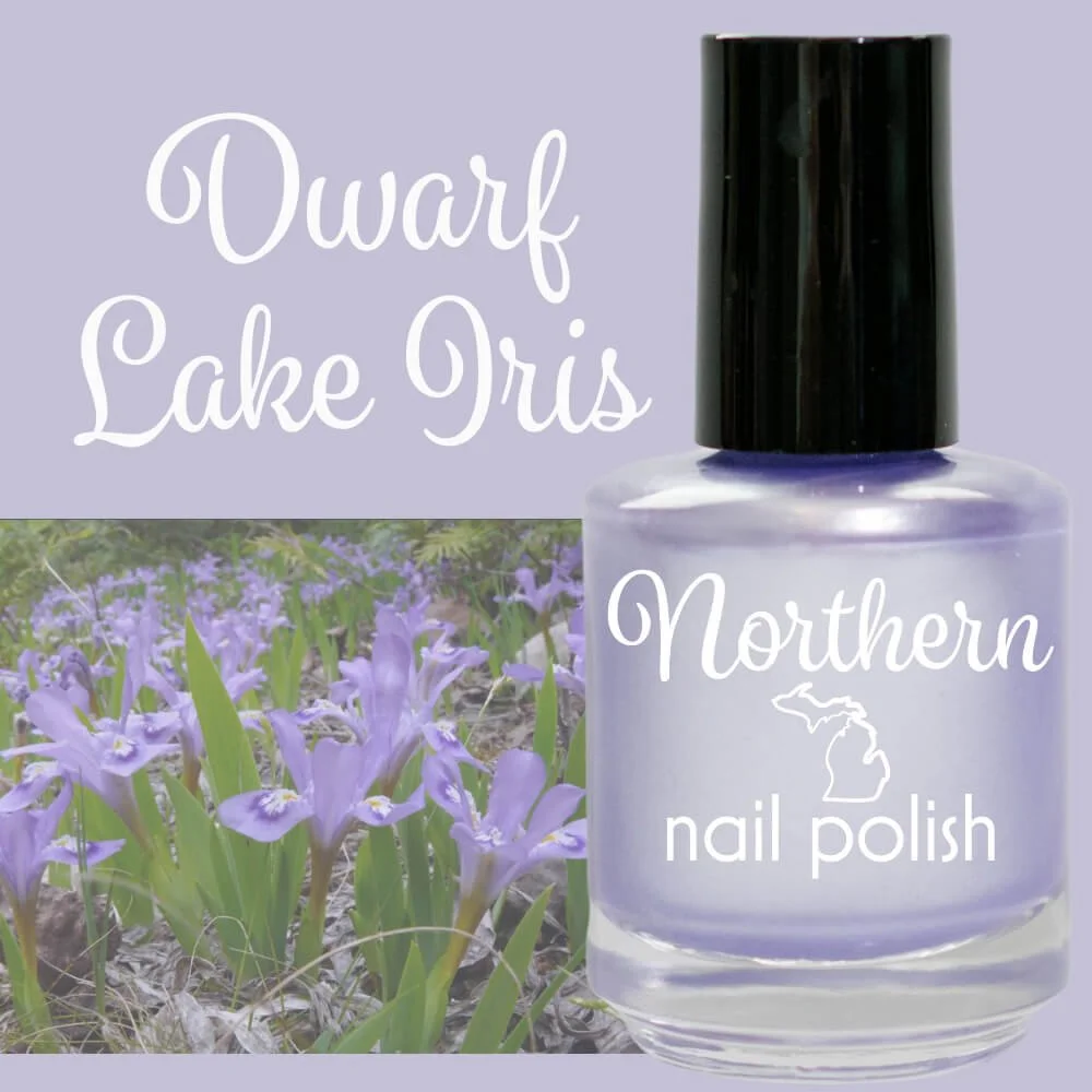 Dwarf+Lake+Iris.png.jpg