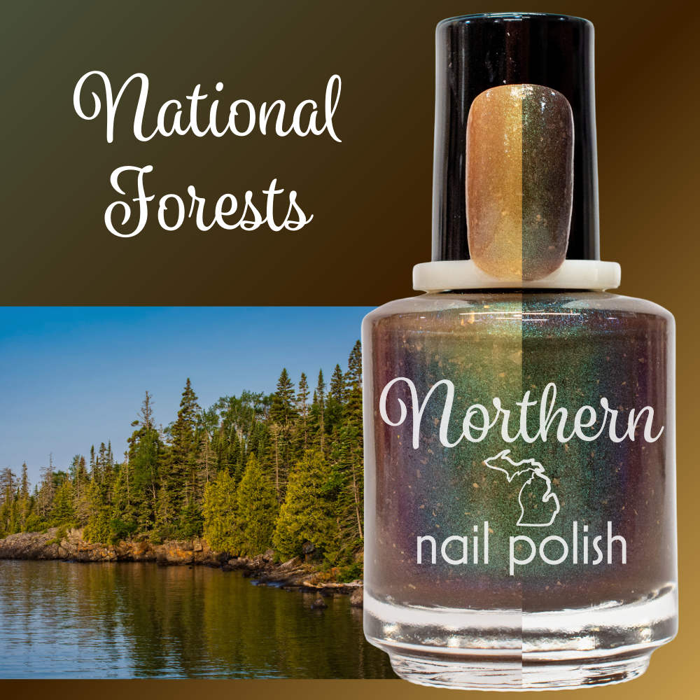 national forests.png