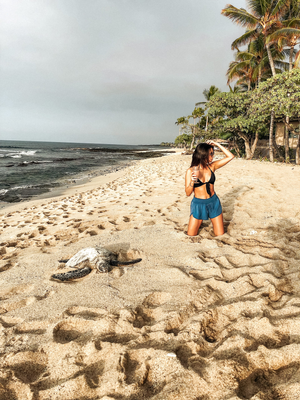 Tara Michelle | My Trip To Hawaii