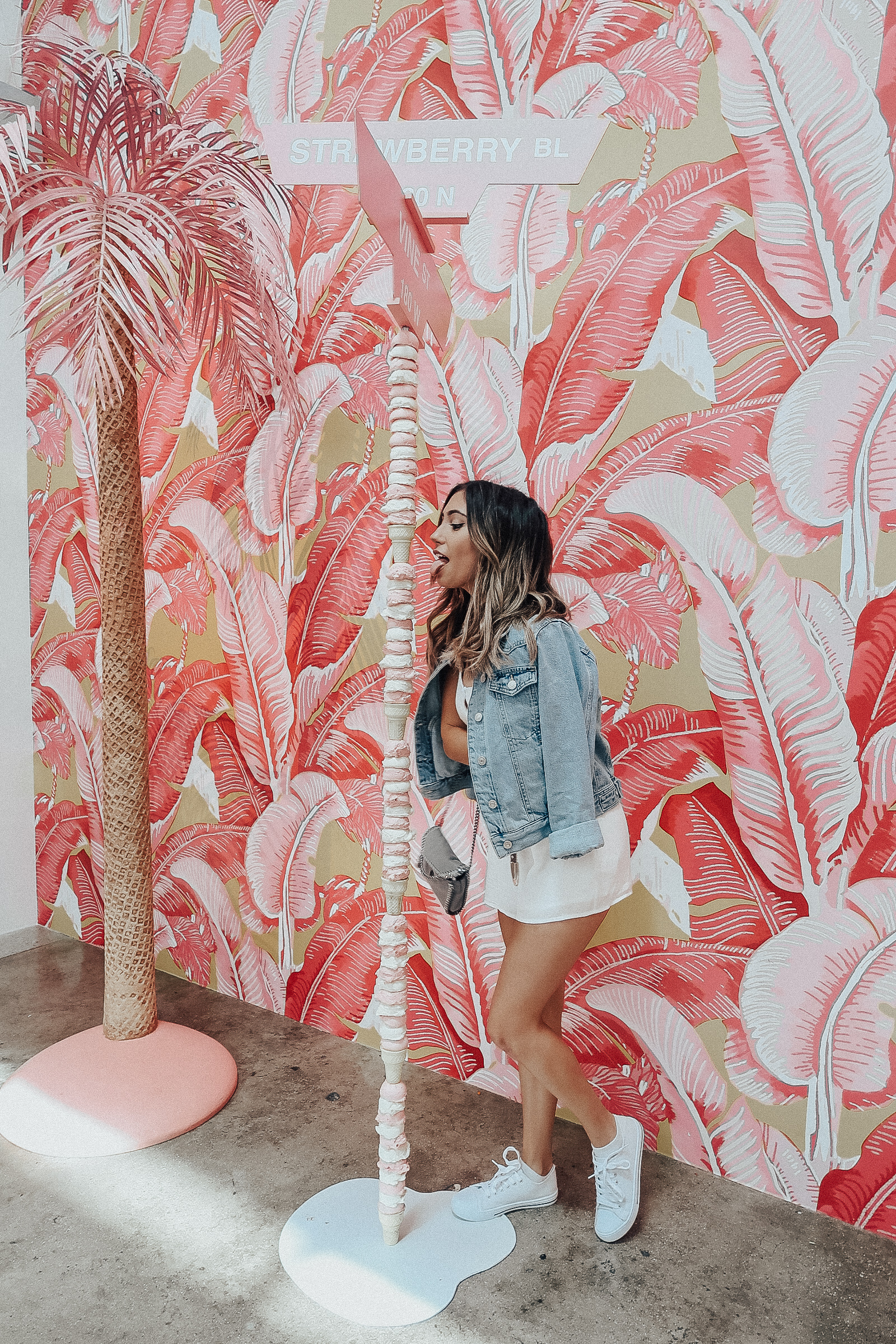 TARA MICHELLE Museum of Ice Cream.jpg