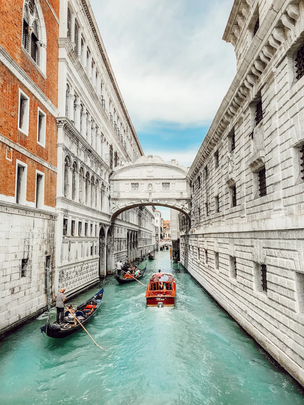 Venice TARA MICHELLE