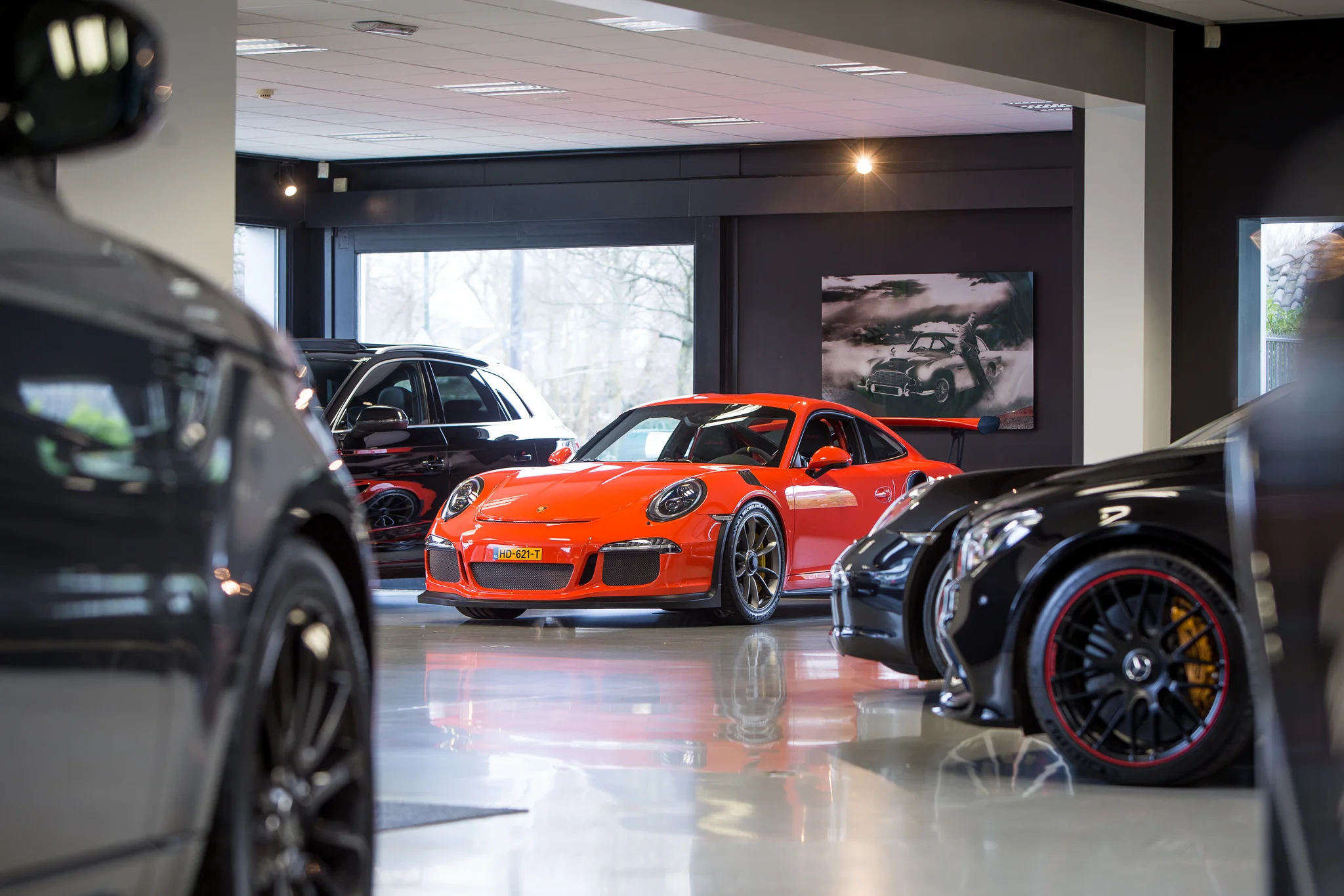 DNA Cars-12.jpg