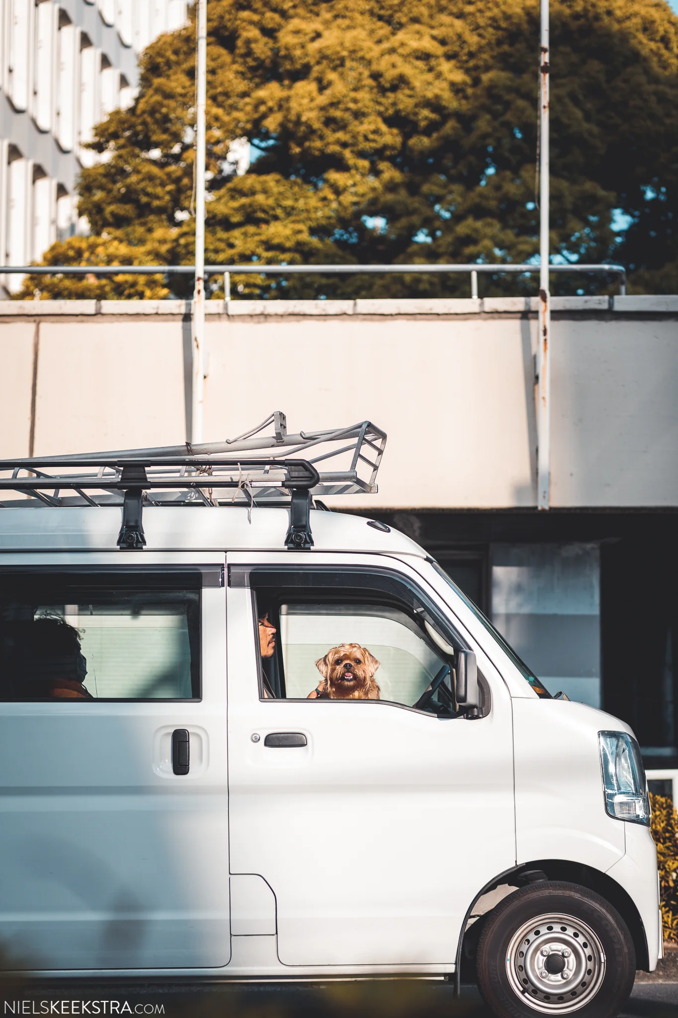 Tokyo-15.jpg