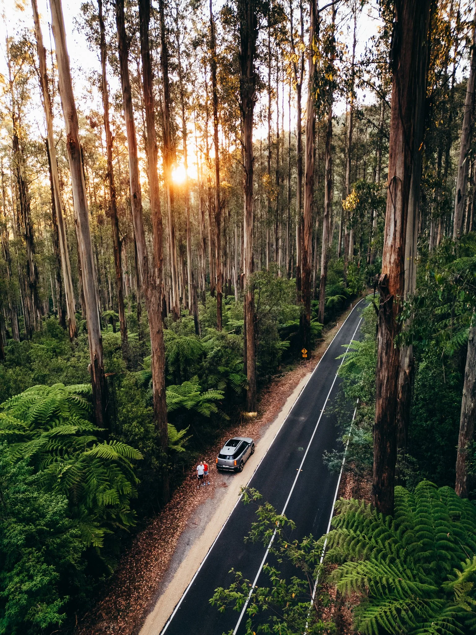 DJI_0038.jpg