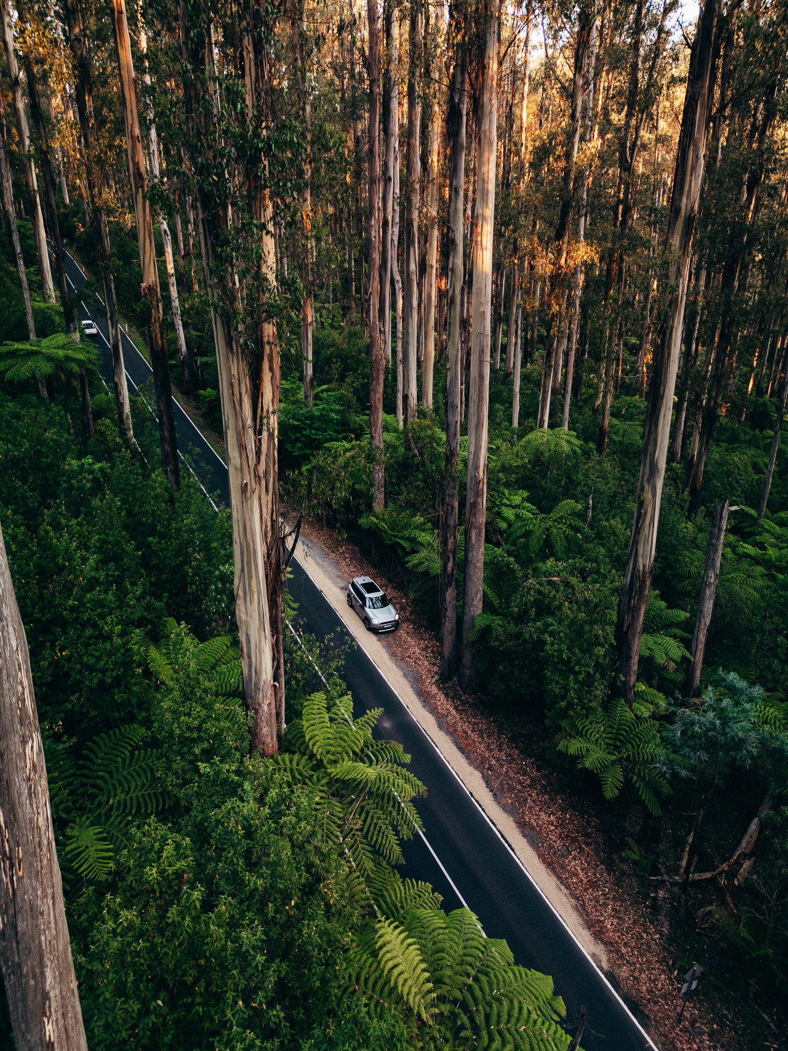 DJI_0042.jpg