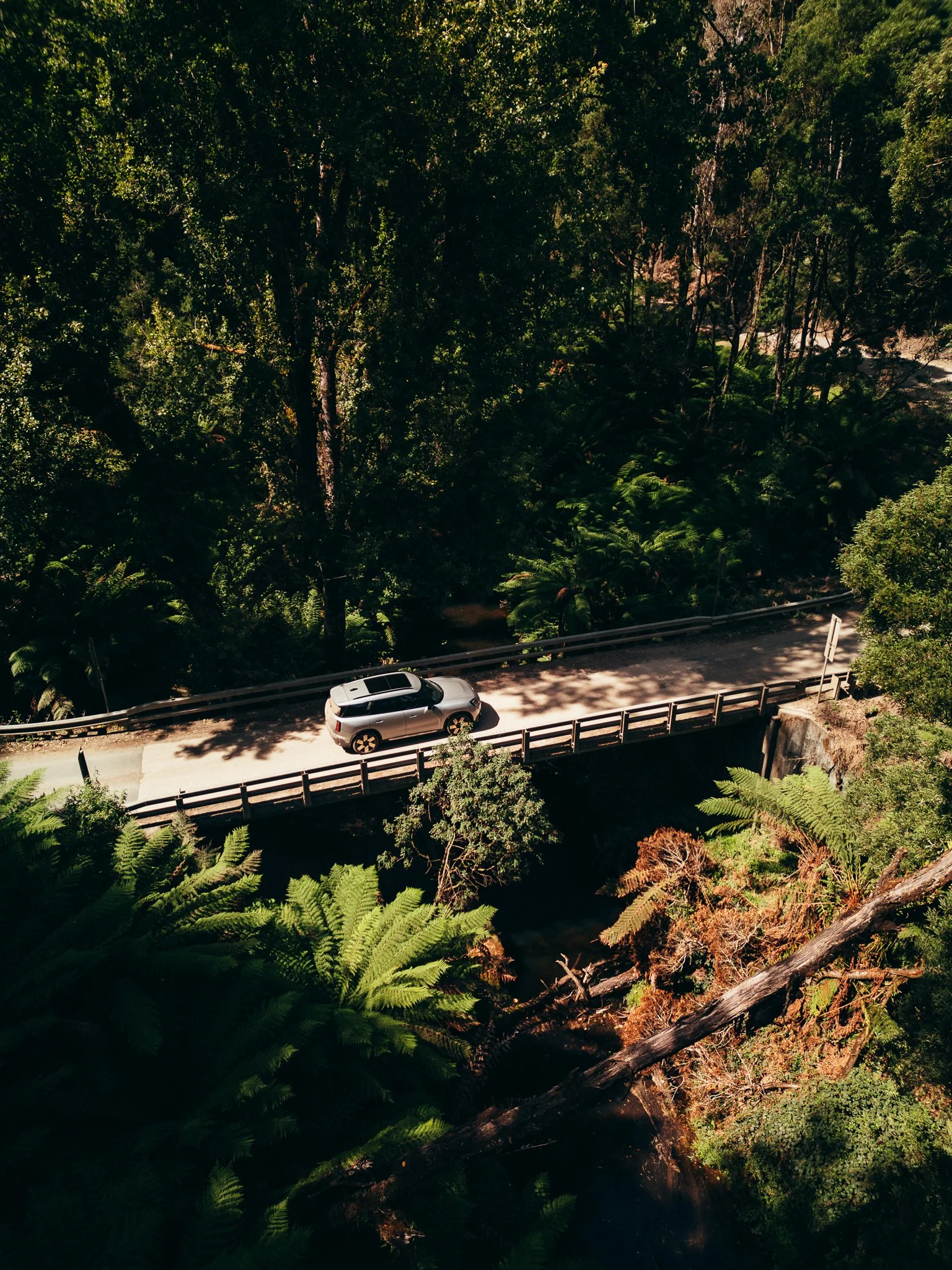 DJI_0065-2.jpg
