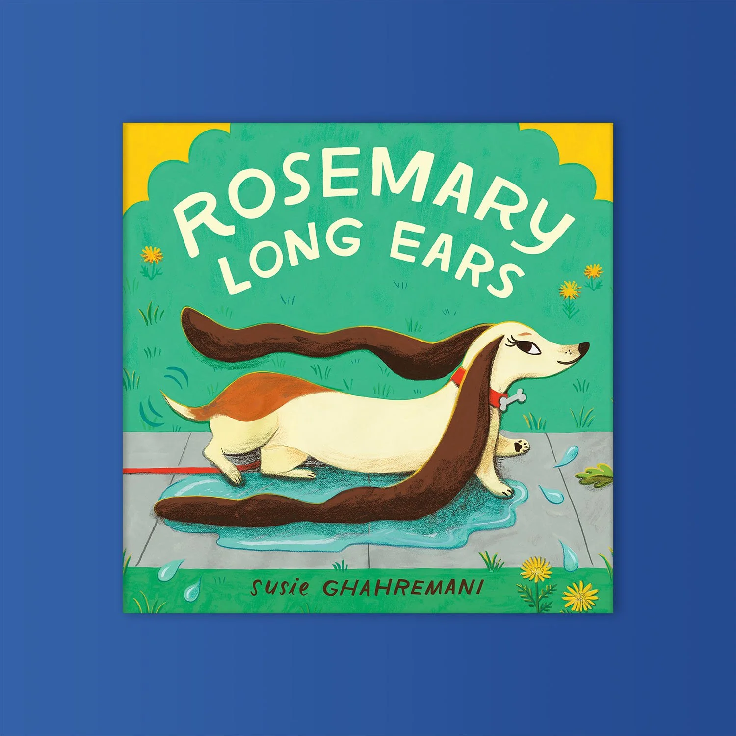 Rosemary Long Ears • LBYR • Cover art © by Susie Ghahremani