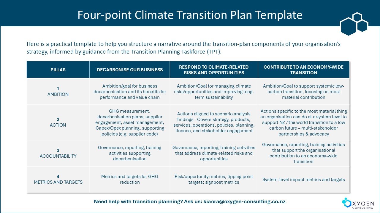 Four point climate transition plan template