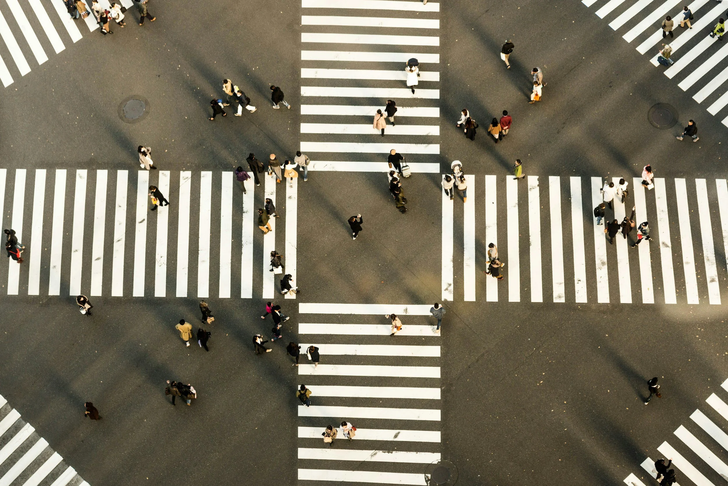 The sustainability profession is at a crossroads. Here's what I think happens next.