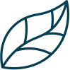 leaf icon