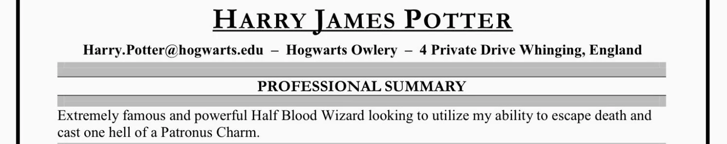 resume-contact-summary-thejub.jpg