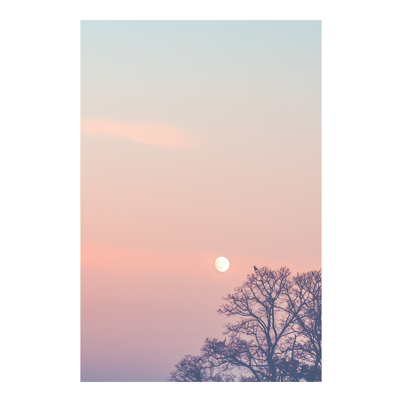 Moon Bird