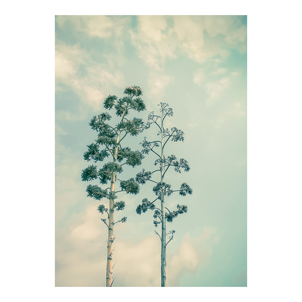 Sur le sentier