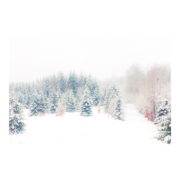 Sapins