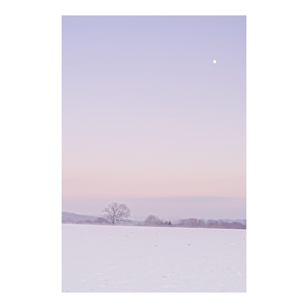 Neige Pastel