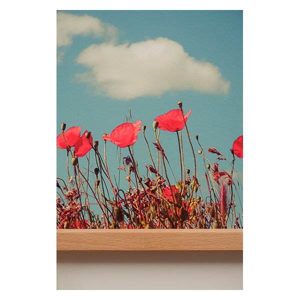 kodachrome3.png