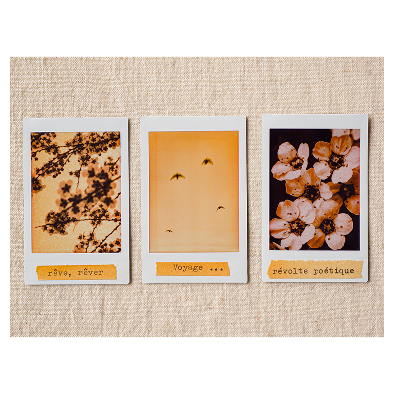 Trio_Instax.png