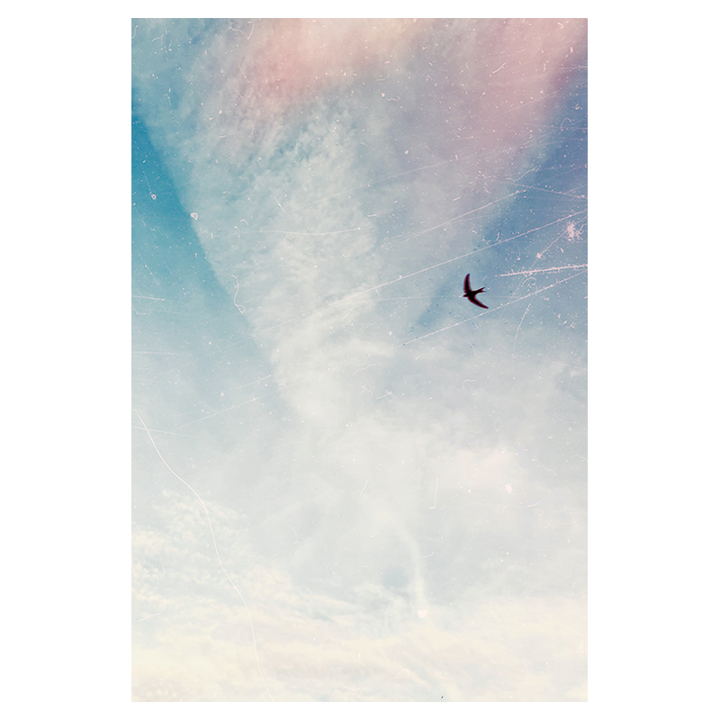 Libre