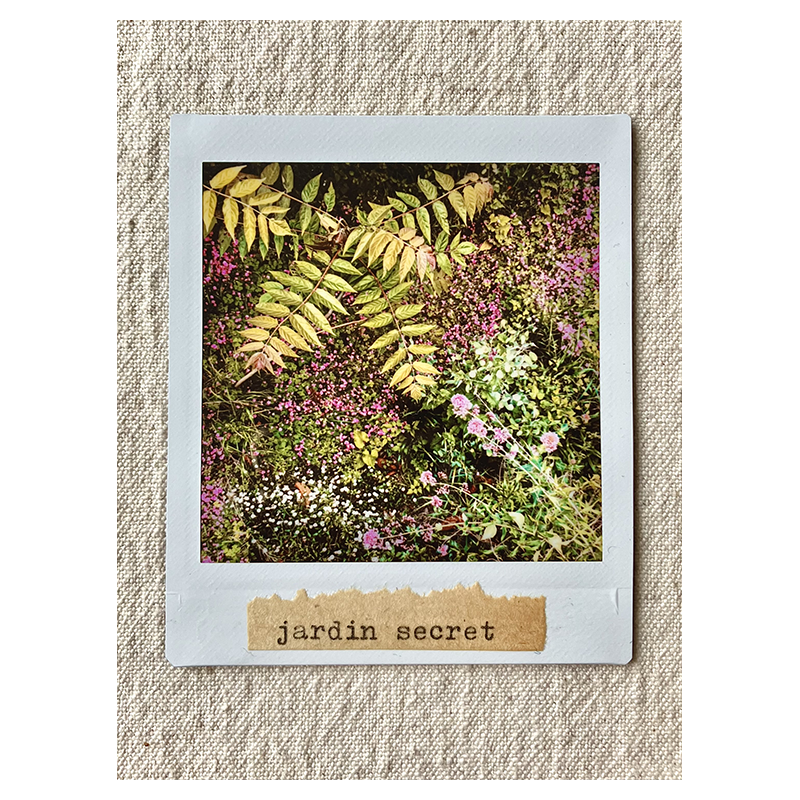 Instax "jardin secret"