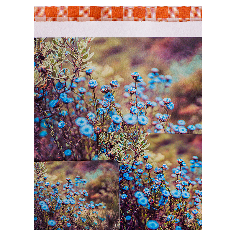 illus_spring25_01.png