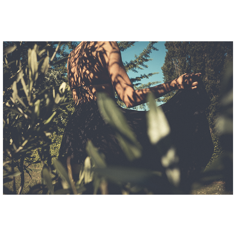 virevolter.png (copie)