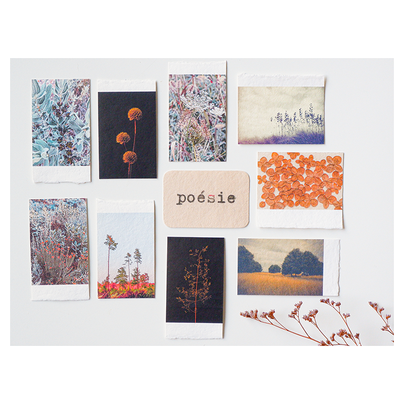 Pochette de 10 mini craft prints *Hiver*