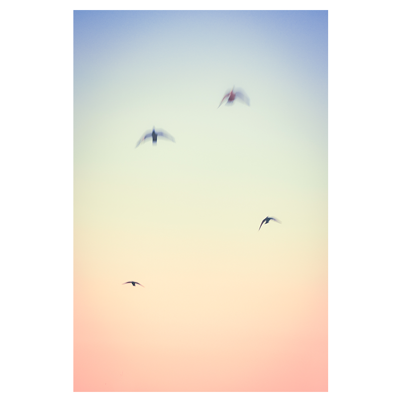 Voyage