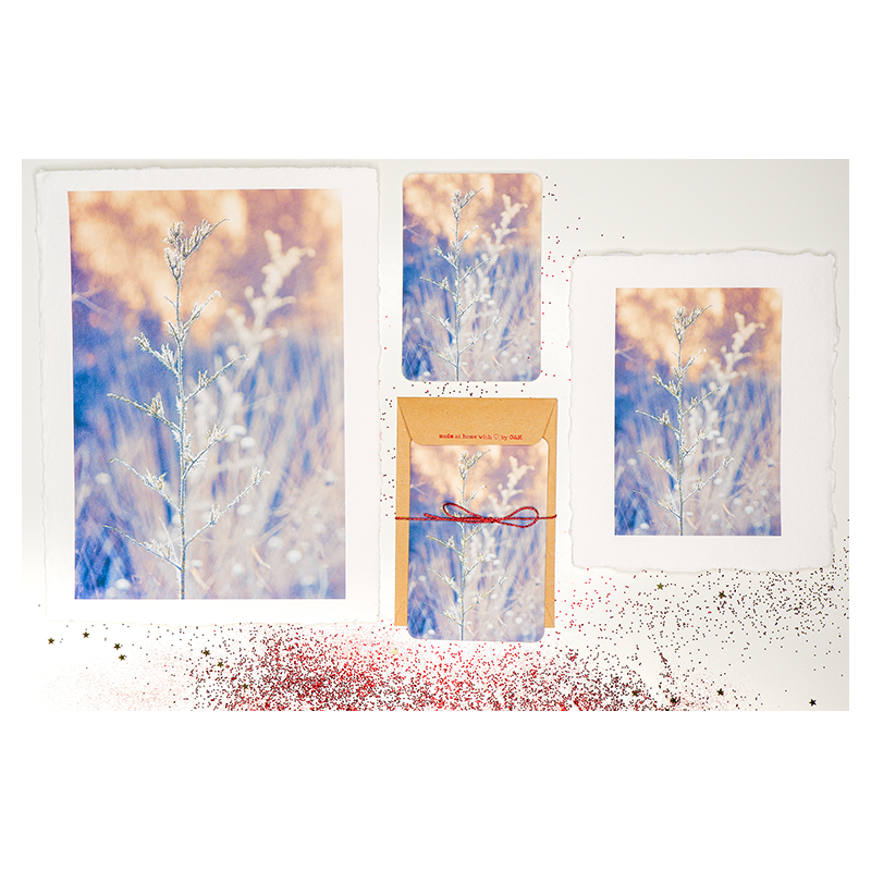 paillettes2025_illus2_004.png