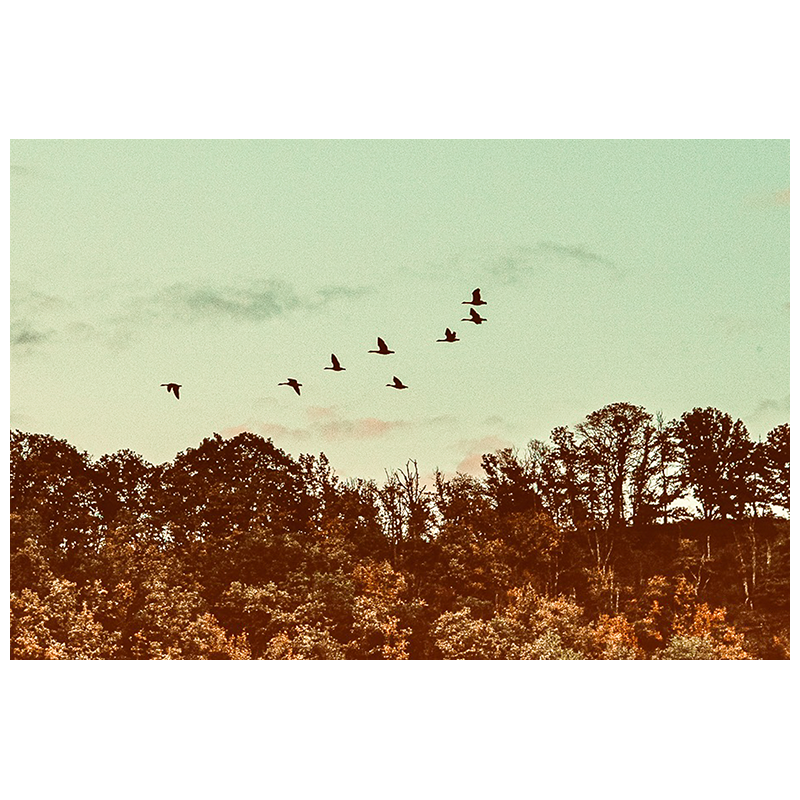 cielSauvage.png
