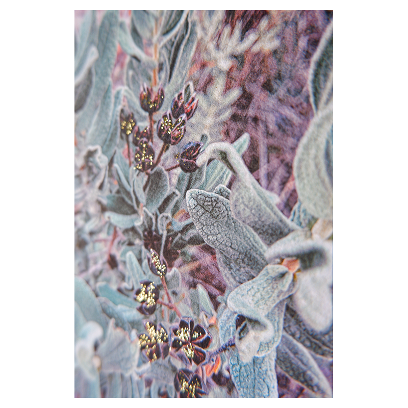 winter25_illus_03.png