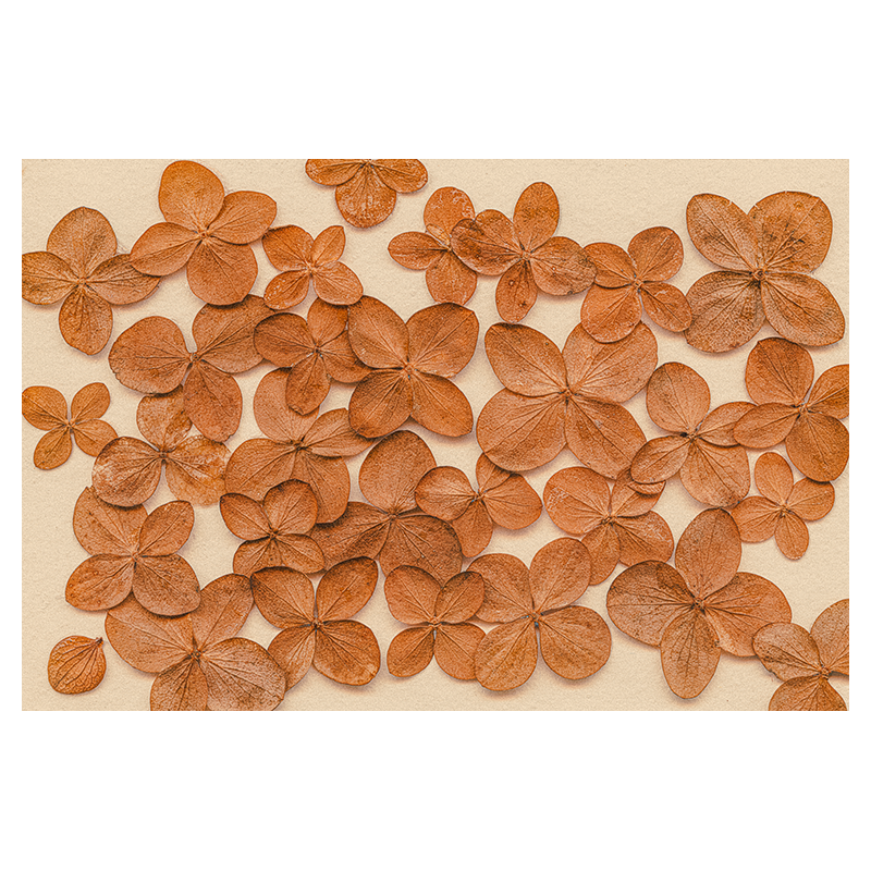 Caramels