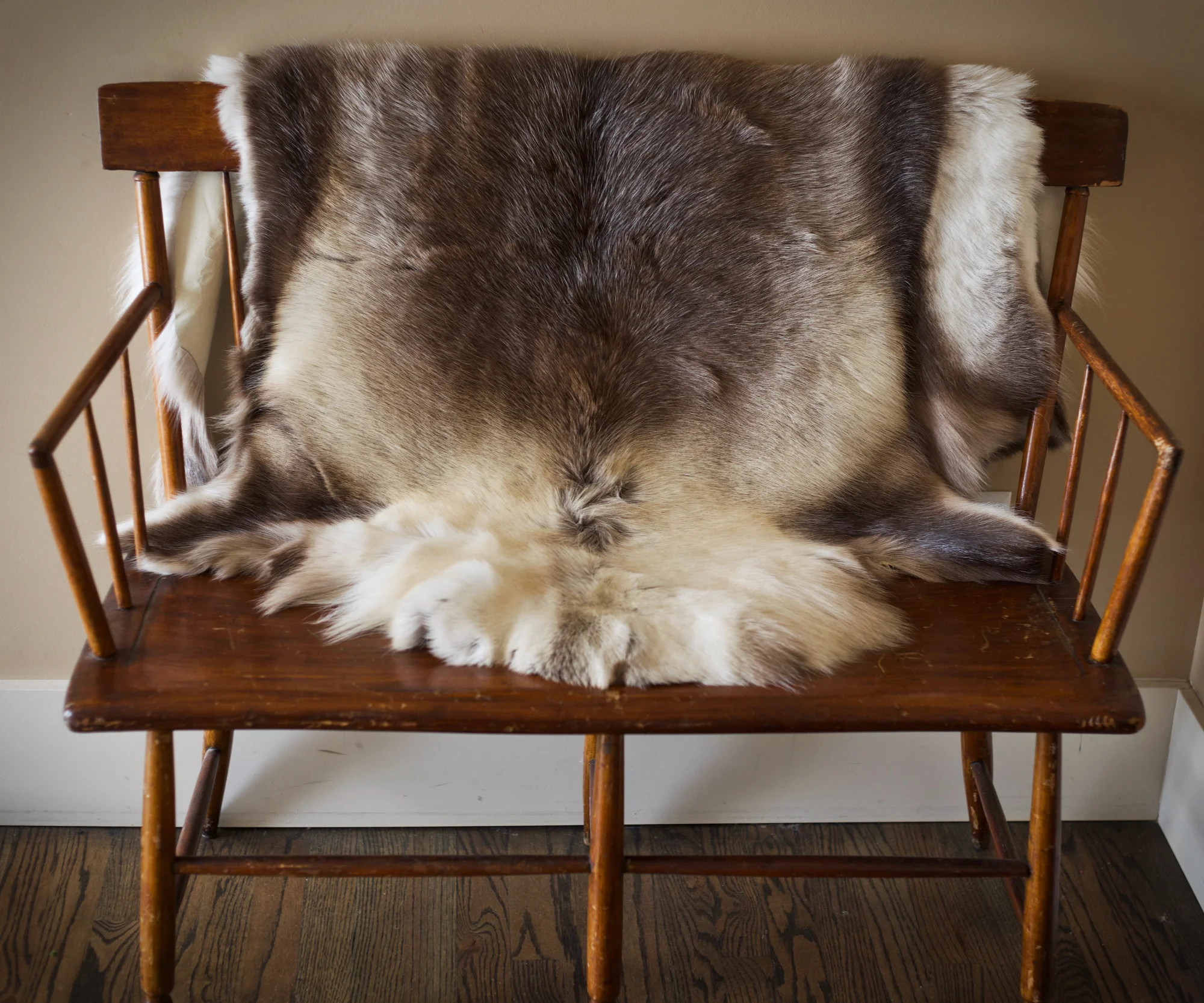 Reindeer Hide 