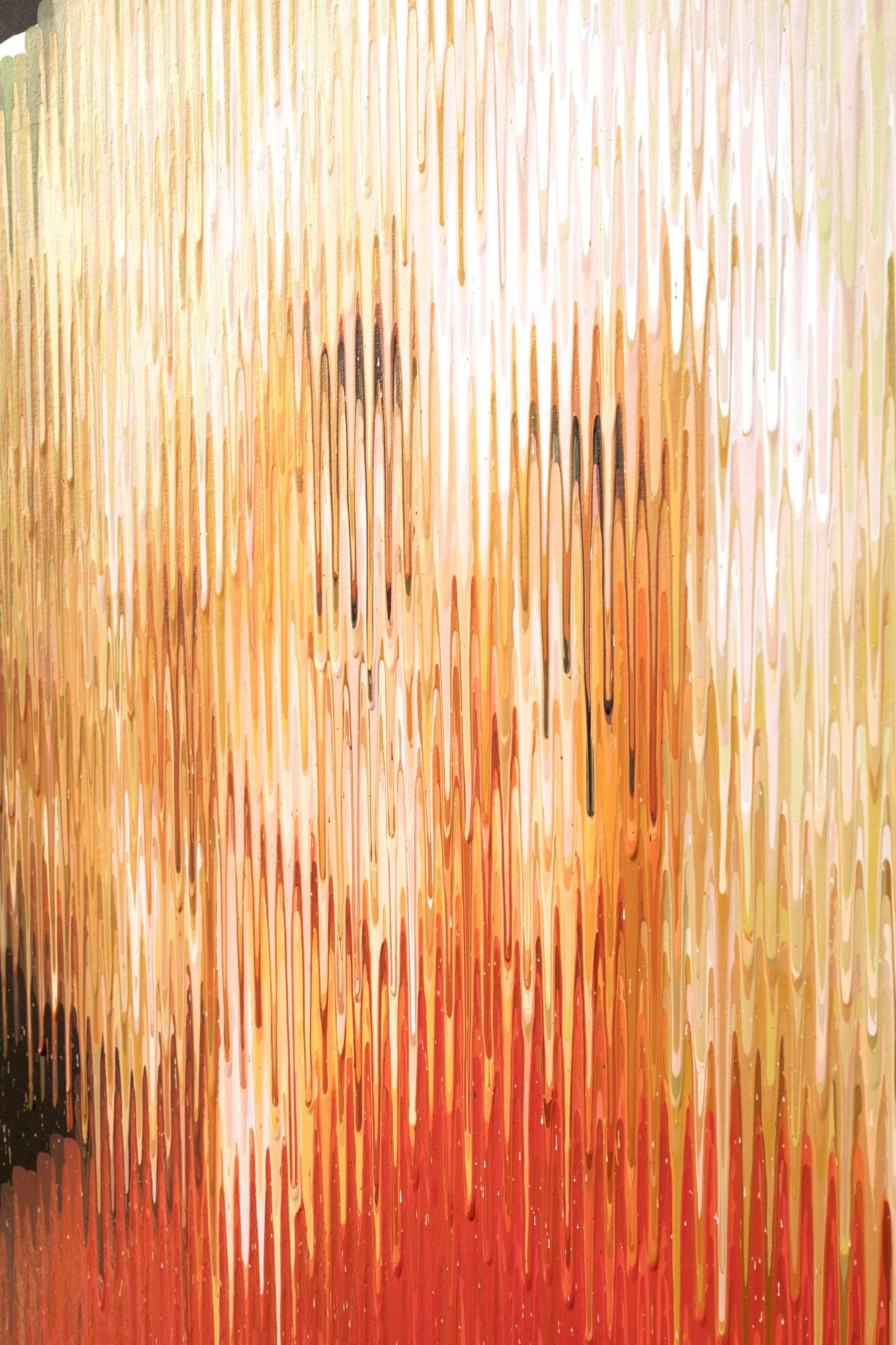 Dolly6.jpg