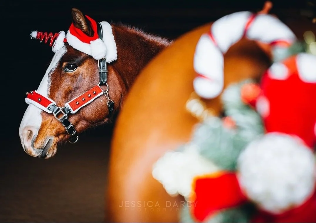 Episode Noel (10.5): The Holiday Spectacular