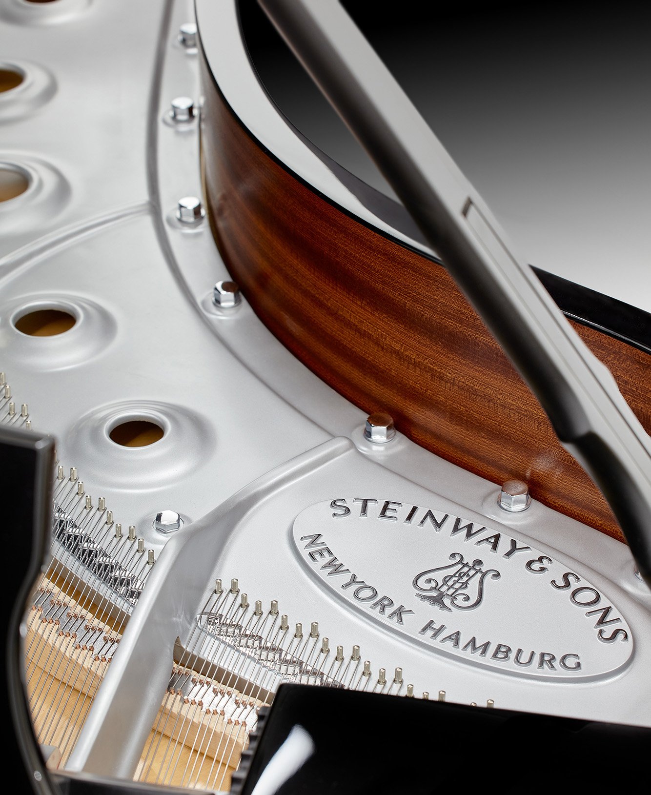 Miineapolis st paul skyline-detail-d (1).jpg