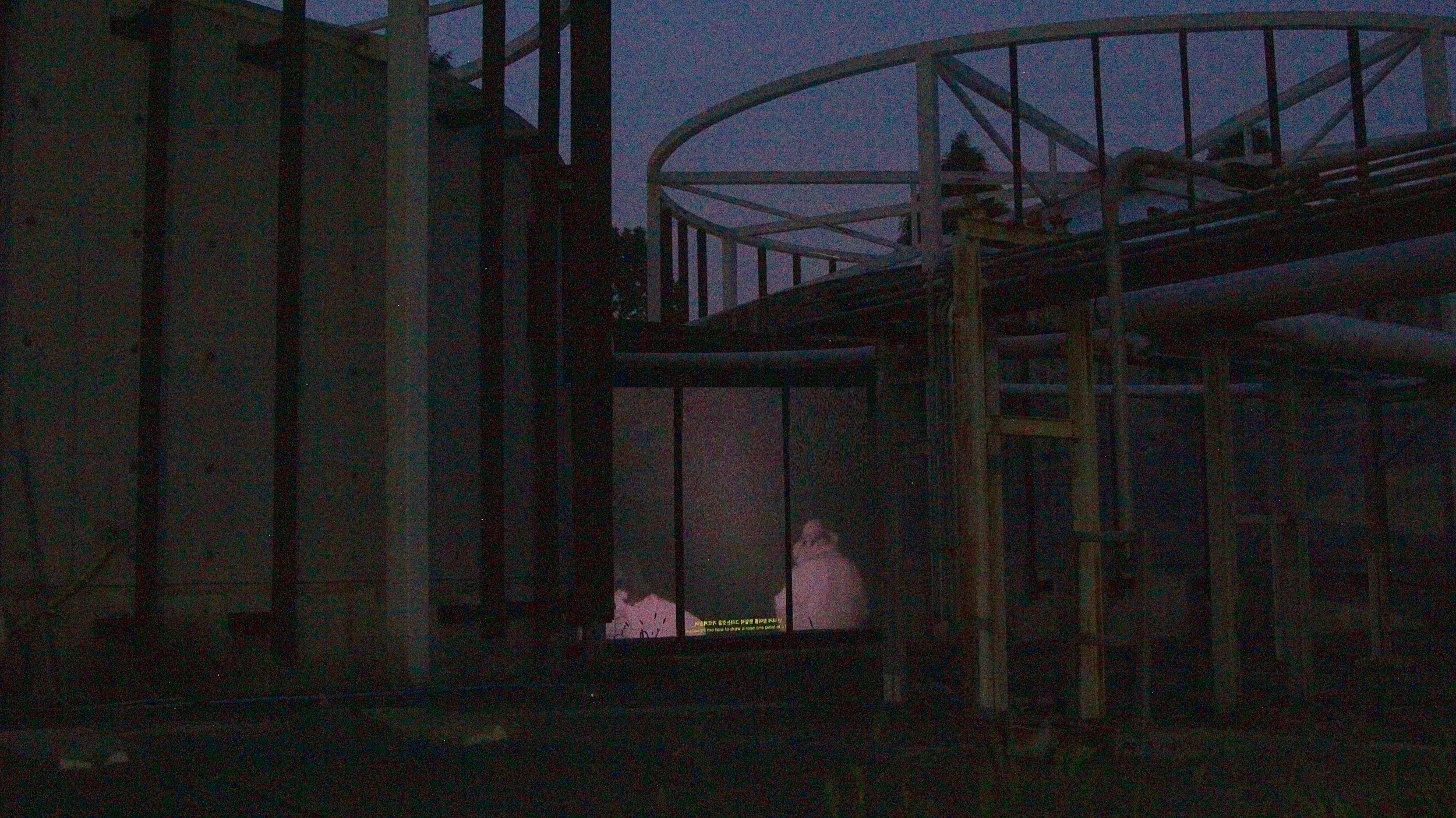 Dylan Mira, 밤시각 Night Vision, installation view HD video, color, silent 14:20, looped Seoul Museum of Art, South Korea, 2018