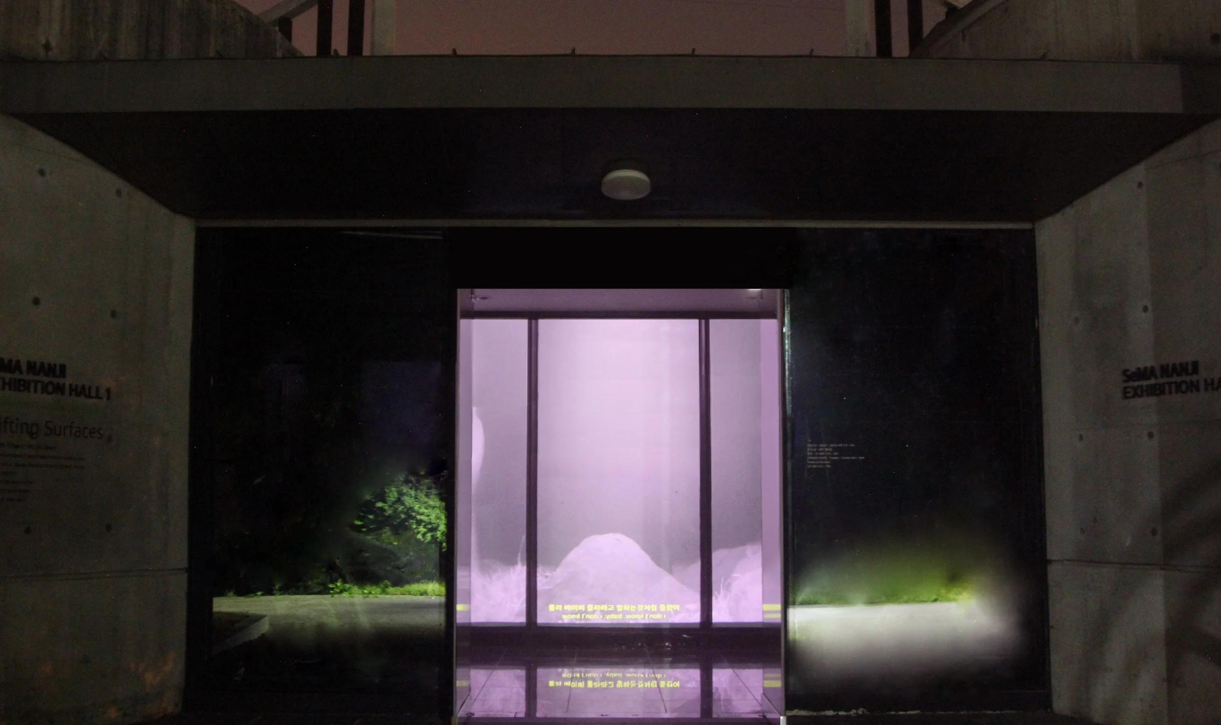 Dylan Mira, 밤시각 Night Vision, installation view HD video, color, silent 14:20, looped Seoul Museum of Art, South Korea, 2018