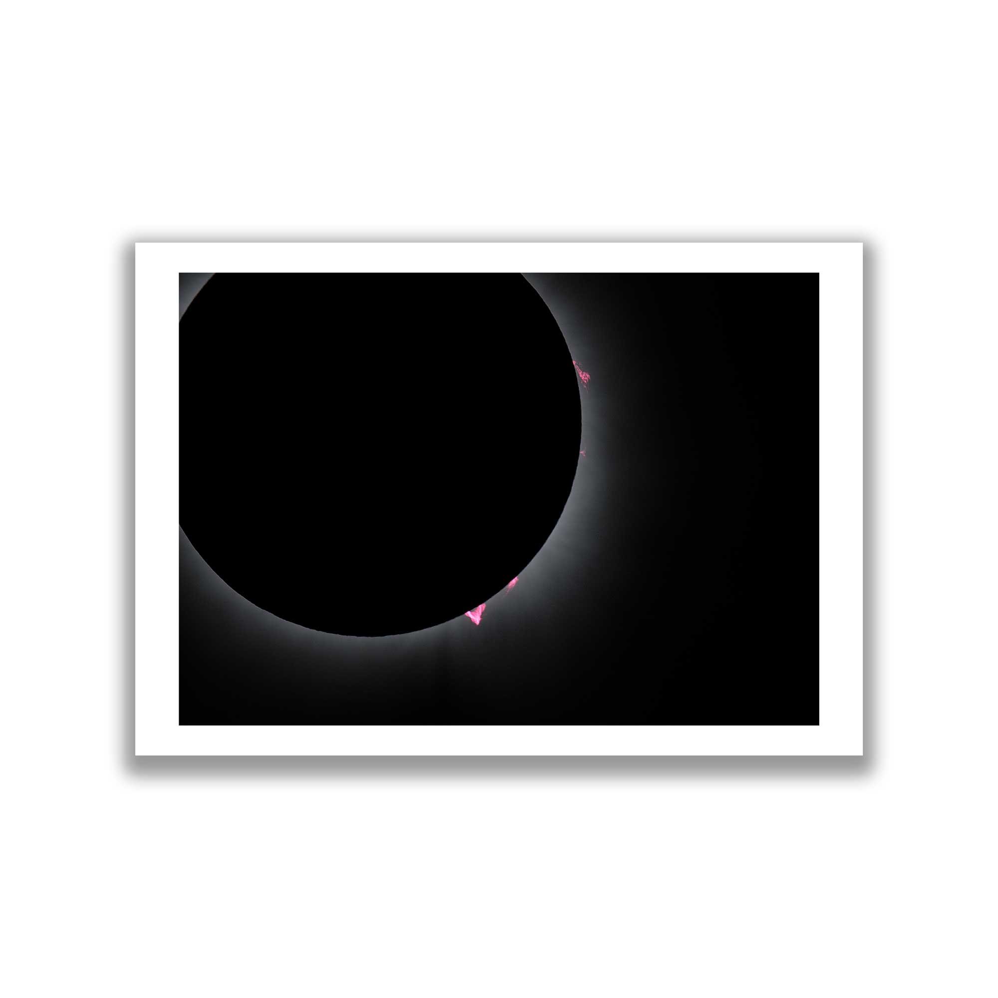 Solar Prominences 2024