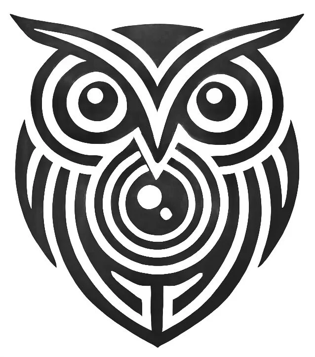Owls Vision Photography