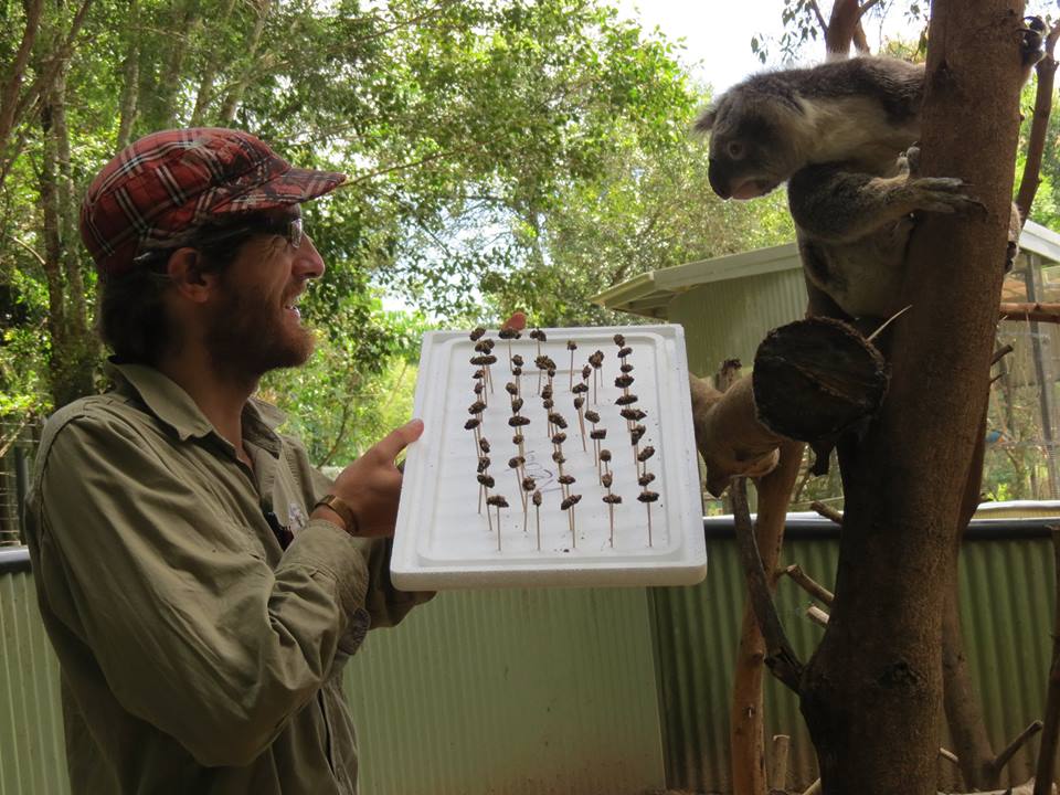Anthony Schultz Wildlife HQ.jpg