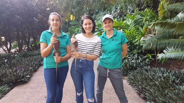 PhD candidate Bethan Littleford-Colquhoun, presenter Clare Von Dorssen and Dr Celine Frere in Roma Street Parkland during filming.