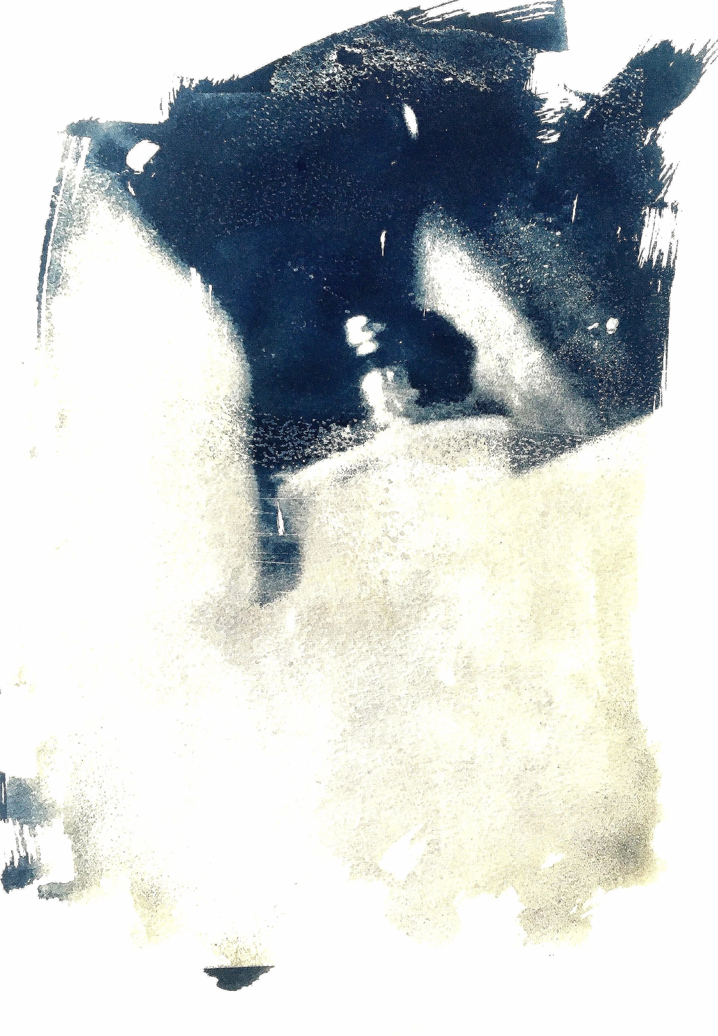 1711CA98-A329-4B26-9A31-0B8126EE1FAE_1_201_a.jpg