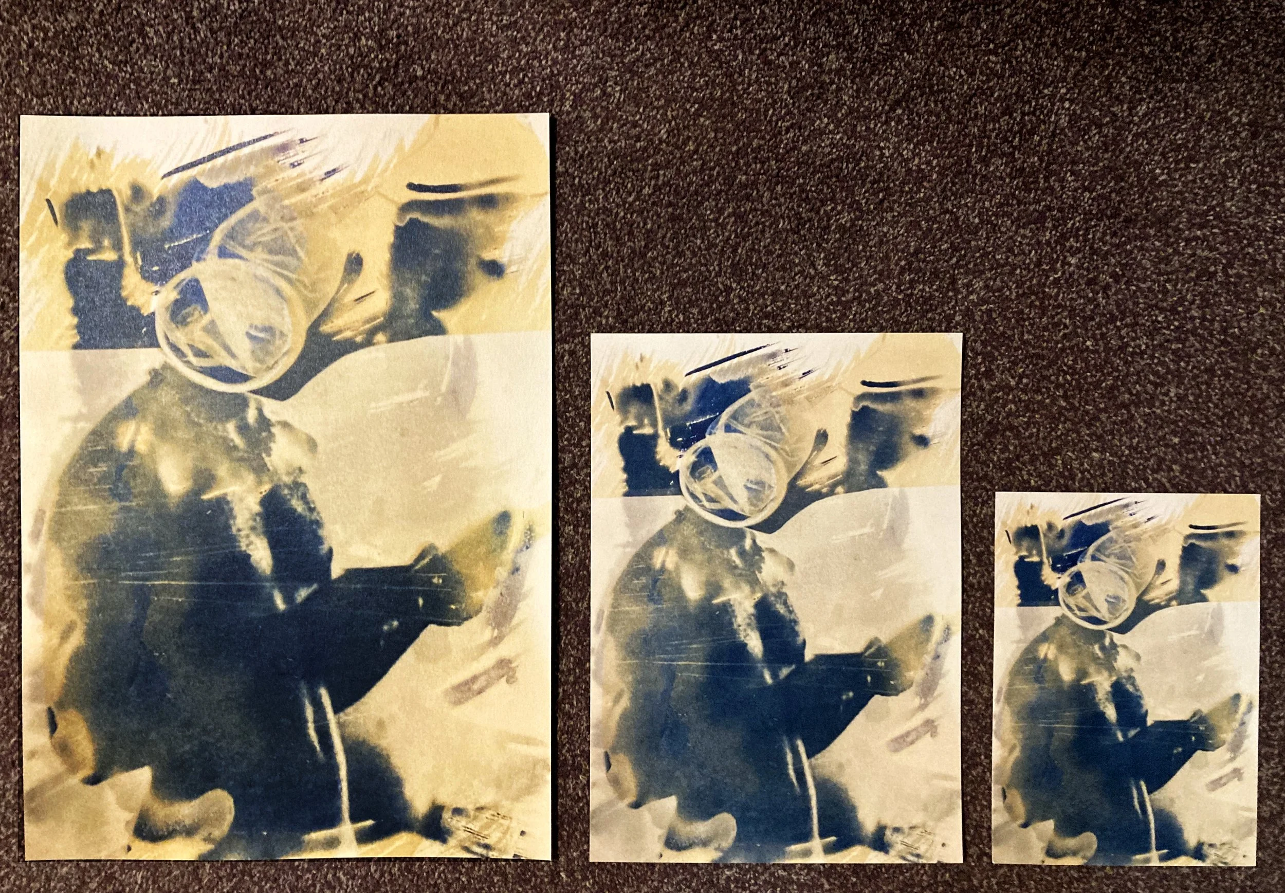 all sizes pics.jpg